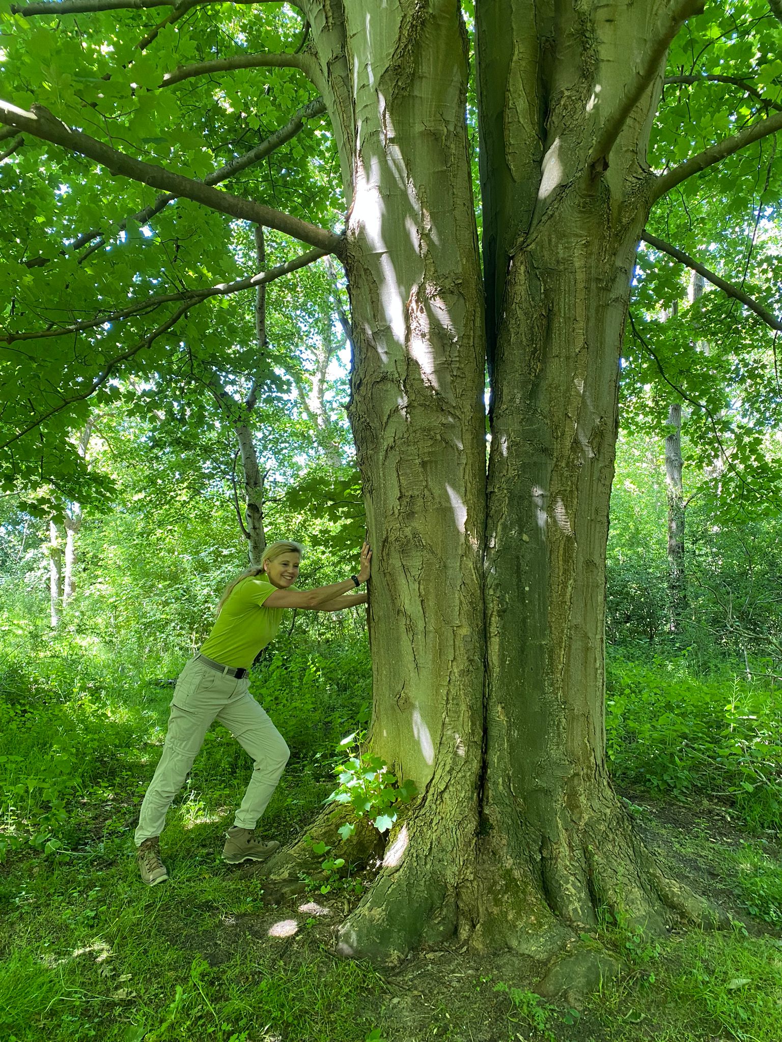 Herfst of winterdip hoe ga je hier mee om?